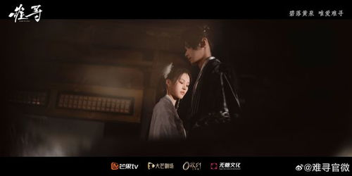 藏锋短剧在线观看平台--第1张