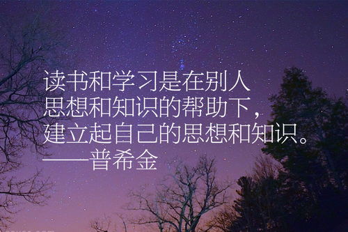 似曾相识归来，一部温馨感人的短剧在线观看平台--第1张