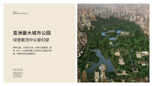 陆爷总是在吃醋，900章超火短剧在线观看平台--第1张