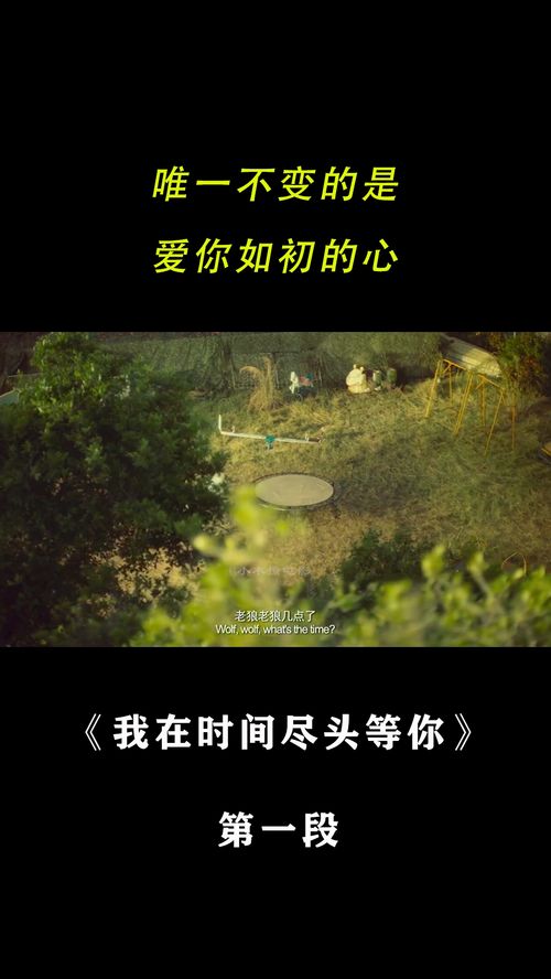 在另外一个时空 在另一个时空爱你短剧在线观看平台--第1张