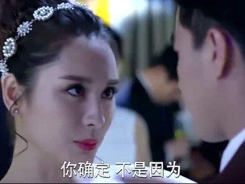  订婚宴上我被三大女神抢疯了——开局订婚宴未婚妻弃我而去，短剧在线观看平台--第1张