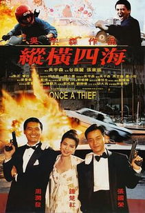 电影纵横，纵横短剧在线观看平台--第1张