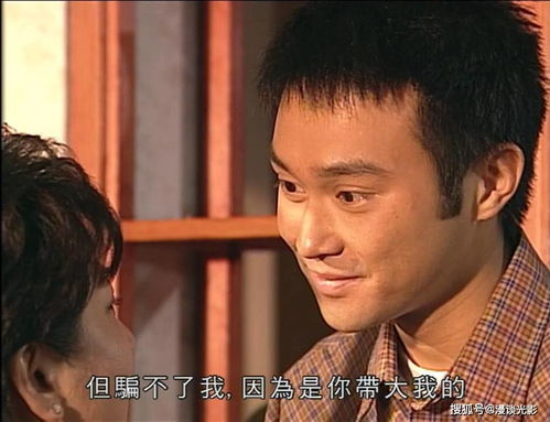月光不照昔日梦短剧在线观看平台，短剧播放平台--第1张