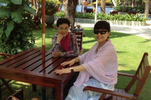 离婚后我和前夫穿书了，闺蜜新欢成迷的穿越奇缘--第1张