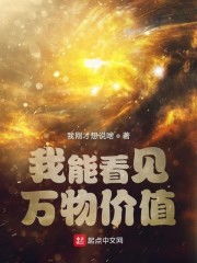 我能看见万物价值全文免费 我能看到万物价值--第1张