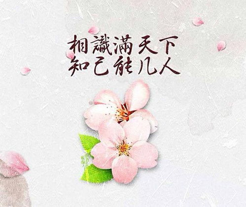 惟愿君心似我心免费阅读全章 重生后被霸总小叔宠爆了--第1张