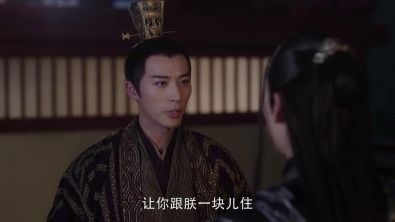 我的夫人是戏精短剧在线观看平台高清 我的夫人是戏精短剧在线观看平台--第1张