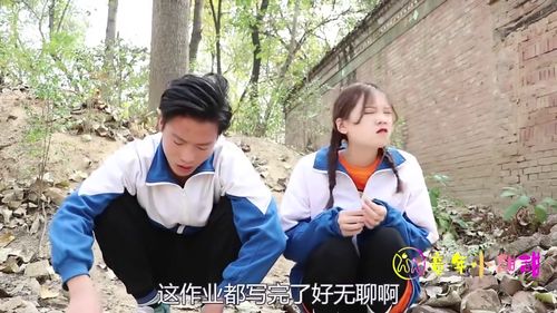 庄少少爷小姐又去找妈咪了短剧在线观看平台，妈咪追夫之路--第1张