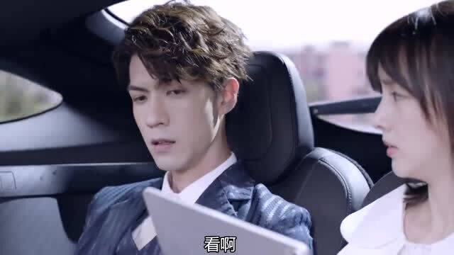 合约期间爱上她演员表--第1张