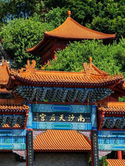 北苍珠图片 北苍殿短剧，在线观看平台--第1张