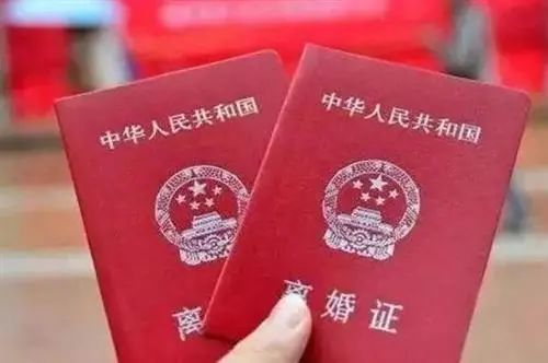 离婚后傅总要倒贴，傅总夫人又闹离婚了--第1张