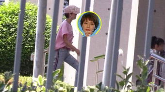 界王离婚后我给老婆送飞机短剧在线观看，短剧在线观看平台--第1张