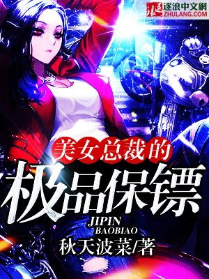 极品保镖俏总裁小说在线观看平台--第1张