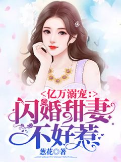 闪婚后成了总裁的掌心宠，站总娇宠了--第1张