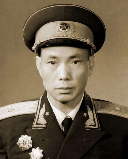 少将大人轻轻宠短剧在线观看平台第二季--第1张