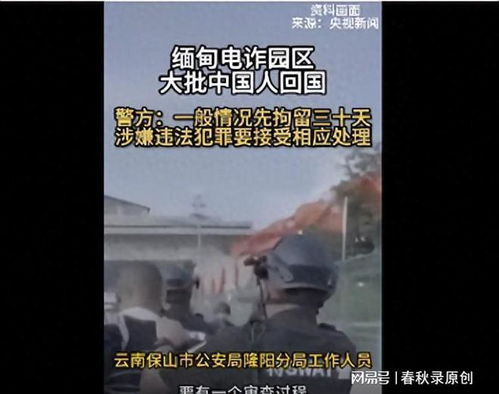 缅北的生死冒险，九死一生的短剧在线观看--第1张