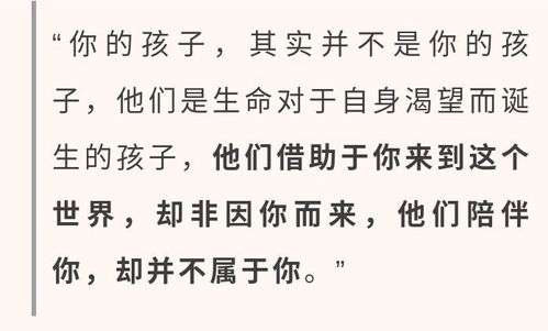 叶总来生不愿再相见短剧在线观看平台--第1张