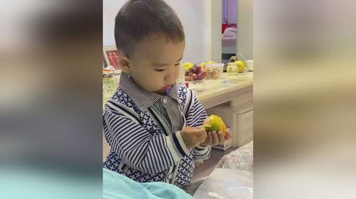 萌宝难哄妈难追短剧在线观看平台 萌宝难哄妈难追短剧在线观看平台播放--第1张
