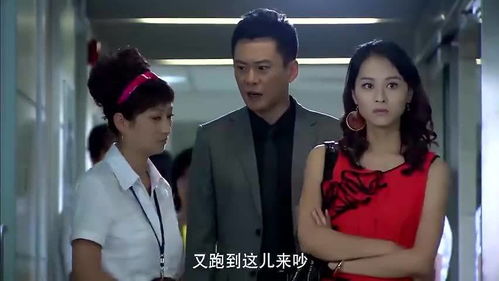 《前夫又又又想复婚了》 前夫又又又爱上了我短剧在线观看平台--第1张