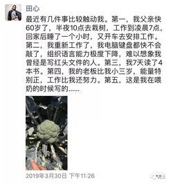 深山凝望在线观看平台--第1张