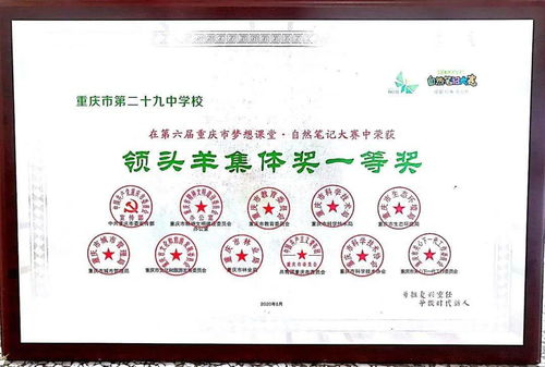 火龙下山师姐快帮我续命短剧在线观看平台 火龙真人的师父--第1张