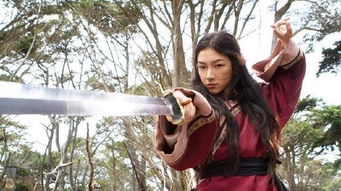 九龙城寨之卧虎藏龙吴春怡短剧在线观看平台 2020九龙城寨电影主演--第1张