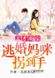 天才萌宝总裁妈咪带球跑，逃婚进行时--第1张