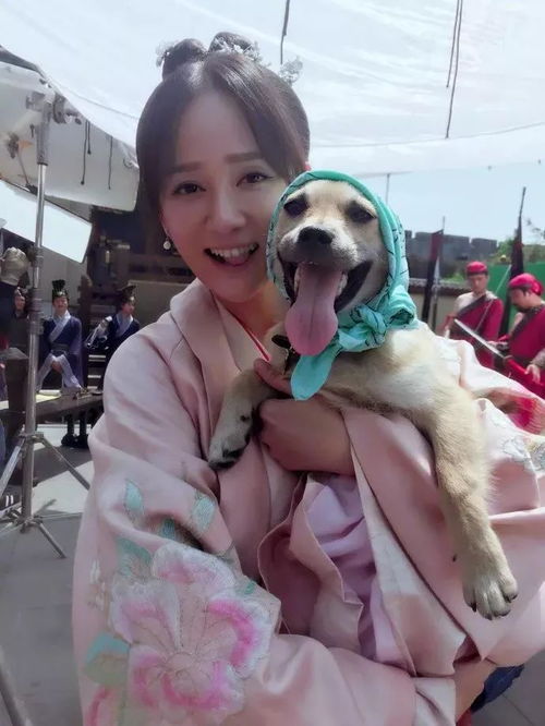 二狗的人生电视剧 二狗的开挂人生短剧在线观看平台--第1张