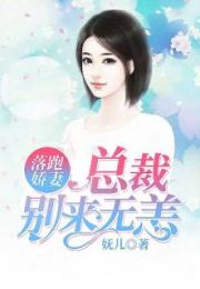 厉总小说，落跑娇妻不好追，总裁追妻火葬场--第1张