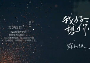 光影烟火里的故事，烟火里的尘埃--第1张