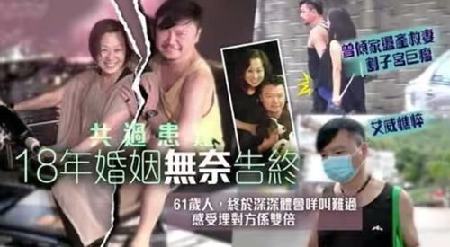 入赘五年离婚既无敌短剧一口气看完 --第1张