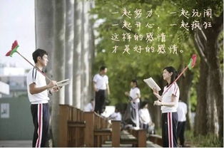 前妻归来陆总逼婚次短剧一口气看完 前妻归来:陆少追妻火葬场--第1张