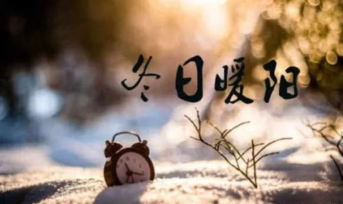 《暖阳》 暖阳似火短剧，一口气看完--第1张