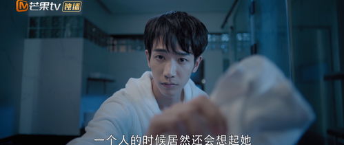 顾总偏爱小甜妻短剧，甜蜜爱情，一气呵成--第1张