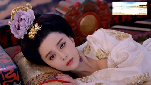 穿书后我在节目当宠妃--第1张