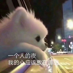 奉旨下山之山下女人是老虎短剧一口气看完 山下女人是老虎表情包--第1张