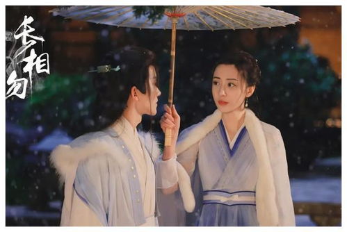 寒王妃传奇，寒王与王妃的爱情故事--第1张