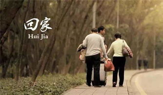 拳心拳意之爱，一气呵成的短剧--第1张