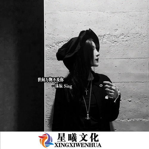 世间万物不及你小说 世间万物不及你，你心动为止长篇版短剧--第1张