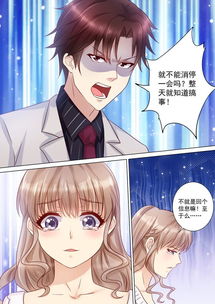 总裁夫人是修罗，总裁夫人传奇人生--第1张