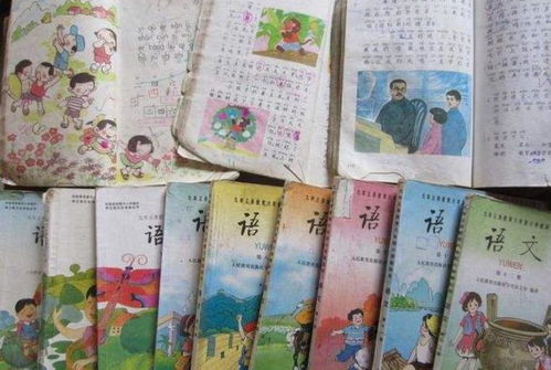 少年志短剧，苦读背后的梦想与坚持--第1张