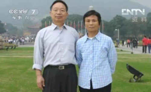  霍总太太她不要你了秦天爱短剧一口气看完--第1张
