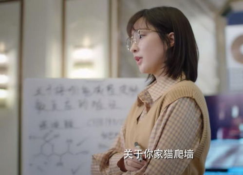 陆总漫漫追妻路--第1张