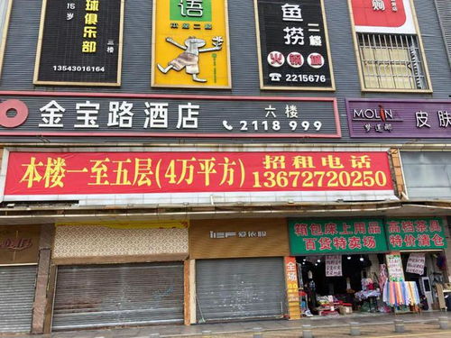 百灵典当铺短剧抢先看完整版 百汇典当 --第1张