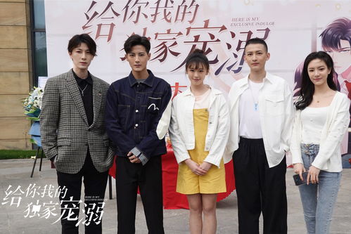 总裁和我互飙演技，短剧抢先看完整版--第1张