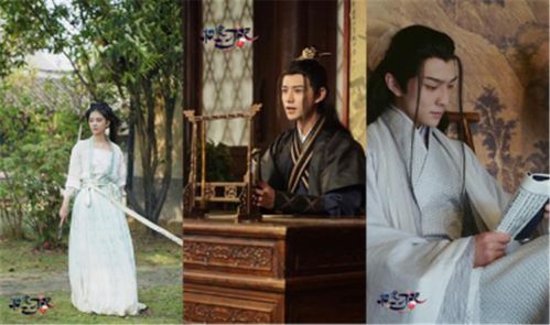 王爷的替身哑妃，替罪哑妻王爷不识心上人抢先看完整版--第1张