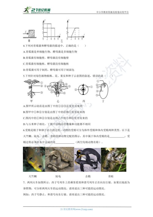 极寒2021 极寒九十九短剧抢先看完整版 --第1张