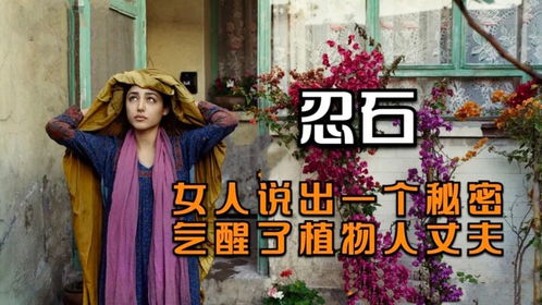 植物人老公归来，夫人要离婚--第1张