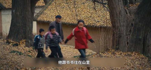 爷爷的散步时光，我和爷爷的人间温暖时刻--第1张