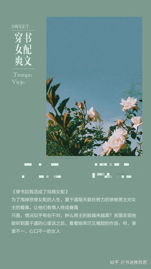 离婚后我爆红了[穿书] 离婚后我爆红了短剧抢先看完整版 --第1张